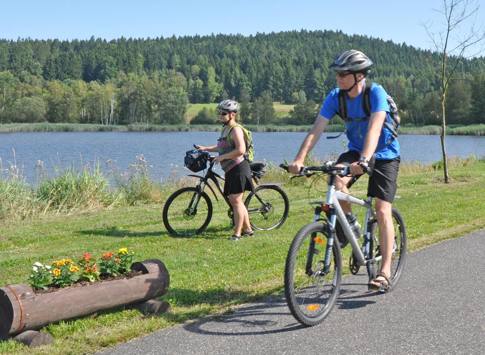 Cyklist� v �esk�m nizozem�